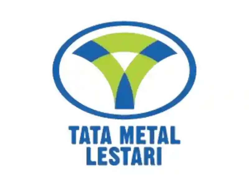Lowongan Magang PT Tata Metal Lestari – Posisi Internship